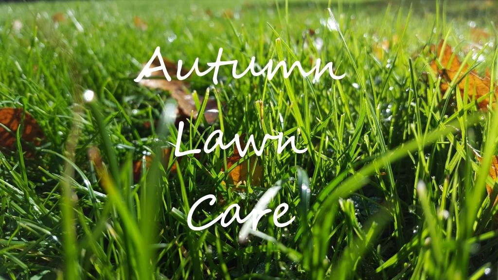 Autumn Lawn Care