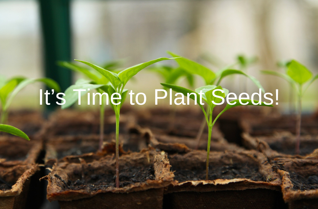 It’s Time to Plant Seeds!