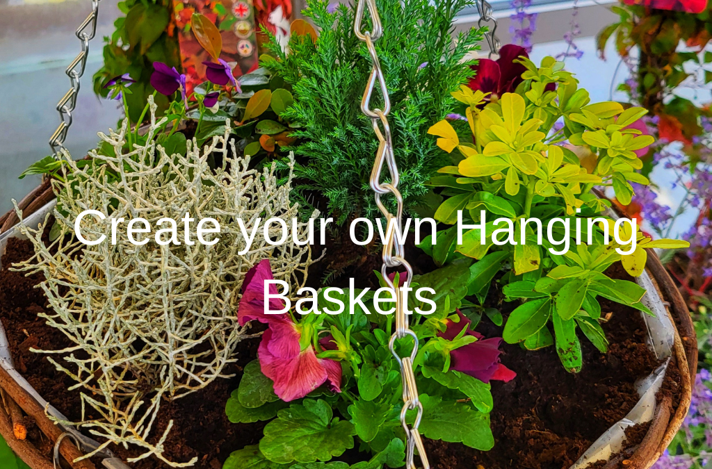 A Step-by-Step Guide to Crafting Your Own Hanging Baskets
