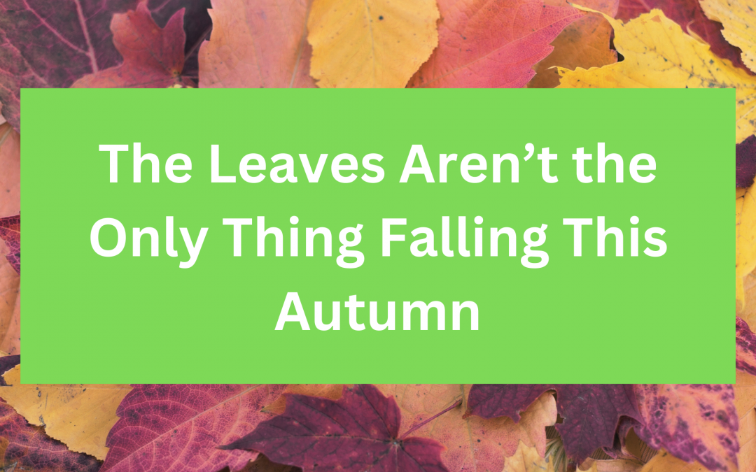 The Leaves Aren’t the Only Thing Falling this Autumn