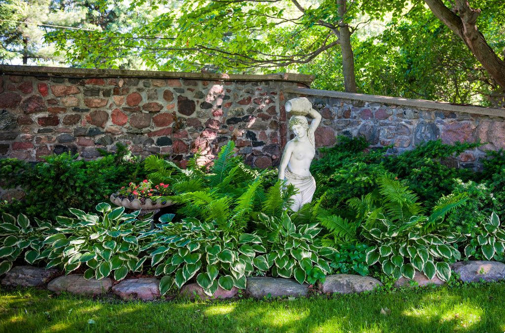 Top Plants for Shady Gardens and How to Care for Them
